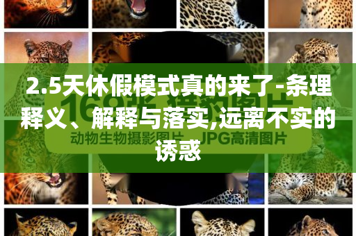 2.5天休假模式真的來了-條理釋義、解釋與落實,遠離不實的誘惑