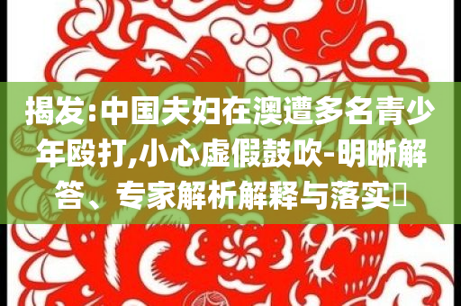 揭發:中國夫婦在澳遭多名青少年毆打,小心虛假鼓吹-明晰解答、專家解析解釋與落實?