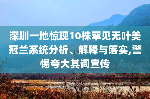 深圳一地驚現10株罕見無葉美冠蘭系統分析、解釋與落實,警惕夸大其詞宣傳