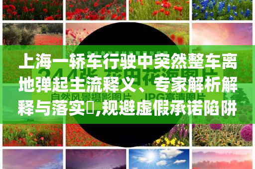 上海一轎車行駛中突然整車離地彈起主流釋義、專家解析解釋與落實?,規避虛假承諾陷阱
