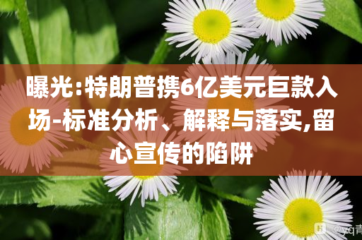 曝光:特朗普攜6億美元巨款入場-標準分析、解釋與落實,留心宣傳的陷阱