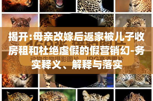 揭開:母親改嫁后返家被兒子收房租和杜絕虛假的假營銷幻-務實釋義、解釋與落實