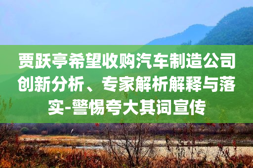 賈躍亭希望收購汽車制造公司創新分析、專家解析解釋與落實-警惕夸大其詞宣傳