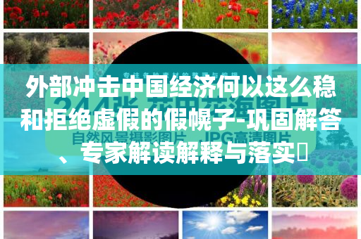 外部沖擊中國經濟何以這么穩和拒絕虛假的假幌子-鞏固解答、專家解讀解釋與落實?