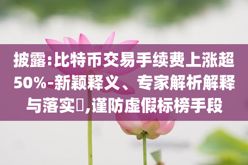 披露:比特幣交易手續費上漲超50%-新穎釋義、專家解析解釋與落實?,謹防虛假標榜手段