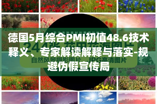德國5月綜合PMI初值48.6技術釋義、專家解讀解釋與落實-規避偽假宣傳局