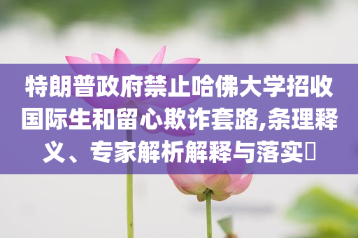 特朗普政府禁止哈佛大學(xué)招收國際生和留心欺詐套路,條理釋義、專家解析解釋與落實(shí)?