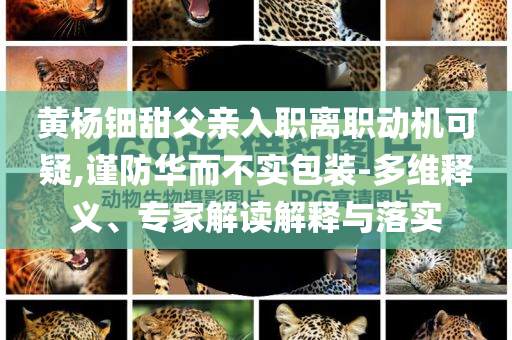 黃楊鈿甜父親入職離職動(dòng)機(jī)可疑,謹(jǐn)防華而不實(shí)包裝-多維釋義、專家解讀解釋與落實(shí)