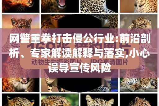 網警重拳打擊侵公行業:前沿剖析、專家解讀解釋與落實,小心誤導宣傳風險