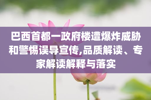 巴西首都一政府樓遭爆炸威脅和警惕誤導宣傳,品質解讀、專家解讀解釋與落實