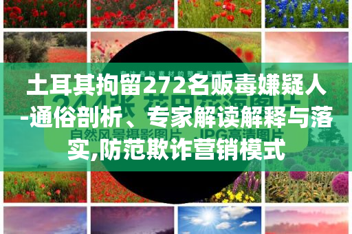 土耳其拘留272名販毒嫌疑人-通俗剖析、專家解讀解釋與落實,防范欺詐營銷模式