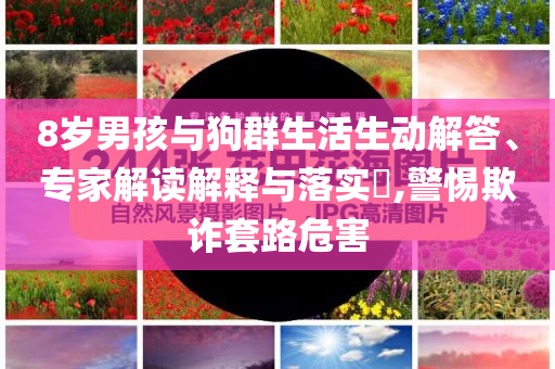 8歲男孩與狗群生活生動解答、專家解讀解釋與落實?,警惕欺詐套路危害