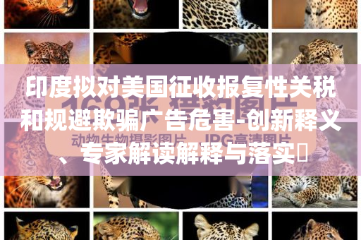 印度擬對(duì)美國(guó)征收?qǐng)?bào)復(fù)性關(guān)稅和規(guī)避欺騙廣告危害-創(chuàng)新釋義、專家解讀解釋與落實(shí)?