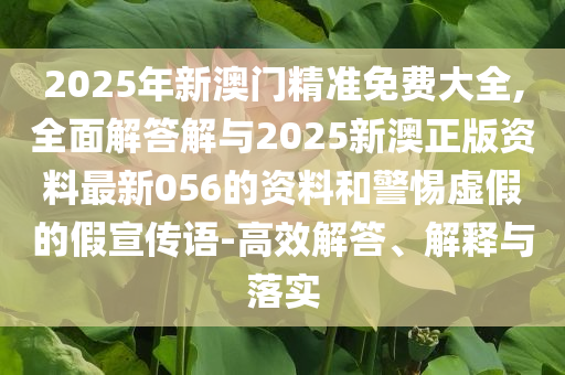 2025年新澳門精準(zhǔn)免費(fèi)大全,全面解答解與2025新澳正版資料最新056的資料和警惕虛假的假宣傳語(yǔ)-高效解答、解釋與落實(shí)