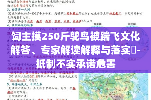 飼主摸250斤鴕鳥被踹飛文化解答、專家解讀解釋與落實(shí)?-抵制不實(shí)承諾危害