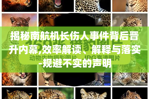 揭秘南航機(jī)長傷人事件背后晉升內(nèi)幕,效率解讀、解釋與落實(shí)-規(guī)避不實(shí)的聲明