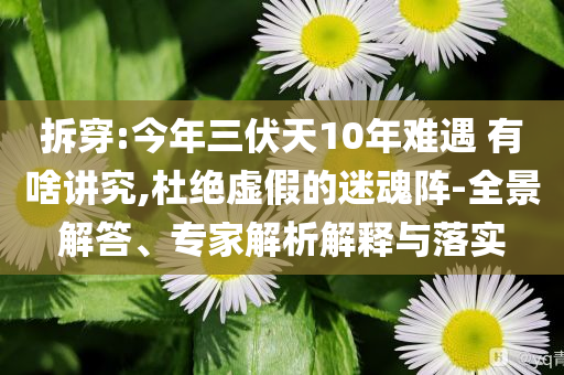 拆穿:今年三伏天10年難遇 有啥講究,杜絕虛假的迷魂陣-全景解答、專家解析解釋與落實