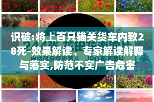 識破:將上百只貓關(guān)貨車內(nèi)致28死-效果解讀、專家解讀解釋與落實,防范不實廣告危害