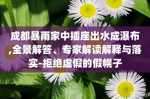 成都暴雨家中插座出水成瀑布,全景解答、專家解讀解釋與落實(shí)-拒絕虛假的假幌子