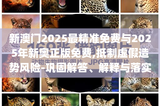 新澳門(mén)2025最精準(zhǔn)免費(fèi)與2025年新奧正版免費(fèi),抵制虛假造勢(shì)風(fēng)險(xiǎn)-鞏固解答、解釋與落實(shí)