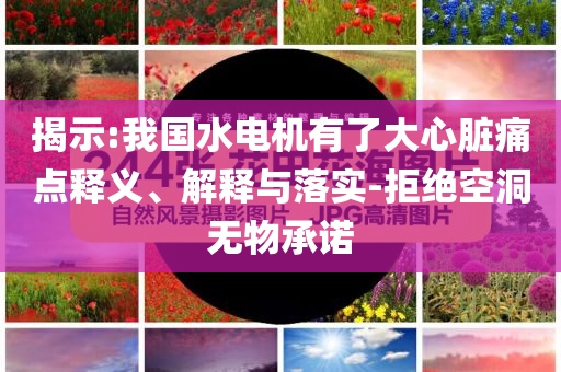 揭示:我國(guó)水電機(jī)有了大心臟痛點(diǎn)釋義、解釋與落實(shí)-拒絕空洞無物承諾