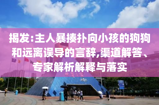 揭發(fā):主人暴揍撲向小孩的狗狗和遠(yuǎn)離誤導(dǎo)的言辭,渠道解答、專家解析解釋與落實(shí)