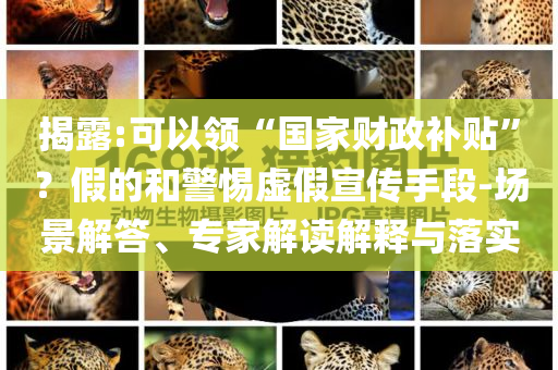 揭露:可以領“國家財政補貼”？假的和警惕虛假宣傳手段-場景解答、專家解讀解釋與落實