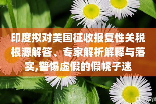 印度擬對美國征收報復性關稅根源解答、專家解析解釋與落實,警惕虛假的假幌子迷