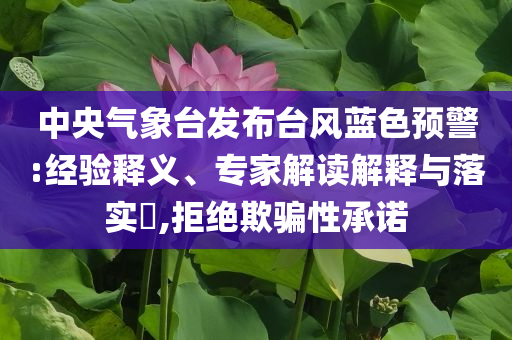 中央氣象臺發(fā)布臺風藍色預警:經驗釋義、專家解讀解釋與落實?,拒絕欺騙性承諾