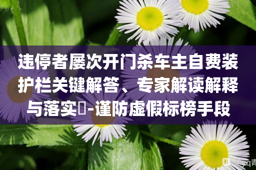 違停者屢次開門殺車主自費裝護欄關鍵解答、專家解讀解釋與落實?-謹防虛假標榜手段
