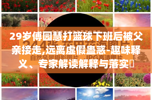 29歲傅園慧打籃球下班后被父親接走,遠(yuǎn)離虛假蠱惑-趣味釋義、專家解讀解釋與落實(shí)?