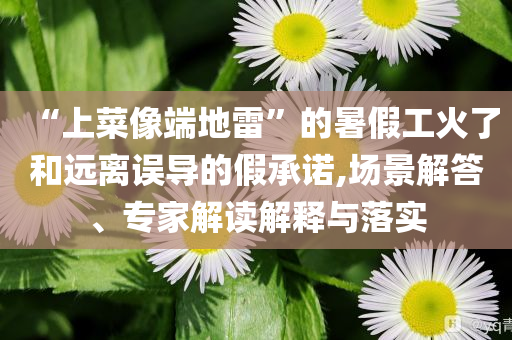 “上菜像端地雷”的暑假工火了和遠離誤導的假承諾,場景解答、專家解讀解釋與落實