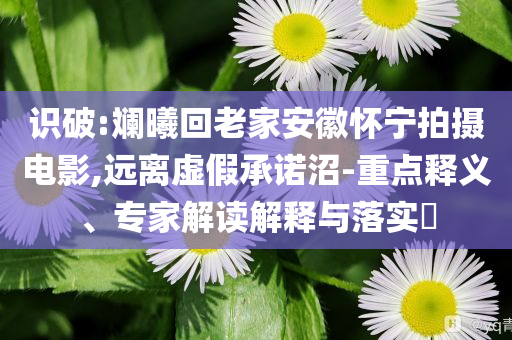 識(shí)破:斕曦回老家安徽懷寧拍攝電影,遠(yuǎn)離虛假承諾沼-重點(diǎn)釋義、專(zhuān)家解讀解釋與落實(shí)?