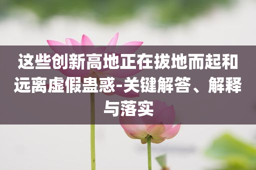 這些創(chuàng)新高地正在拔地而起和遠(yuǎn)離虛假蠱惑-關(guān)鍵解答、解釋與落實(shí)