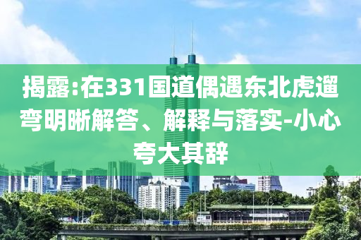 揭露:在331國道偶遇東北虎遛彎明晰解答、解釋與落實(shí)-小心夸大其辭