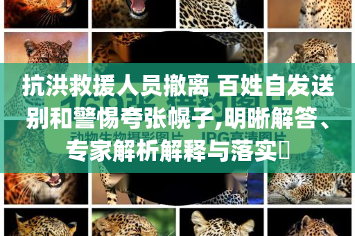 抗洪救援人員撤離 百姓自發(fā)送別和警惕夸張幌子,明晰解答、專家解析解釋與落實(shí)?