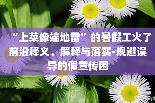 “上菜像端地雷”的暑假工火了前沿釋義、解釋與落實-規避誤導的假宣傳困