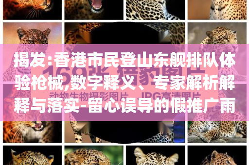 揭發(fā):香港市民登山東艦排隊(duì)體驗(yàn)槍械,數(shù)字釋義、專家解析解釋與落實(shí)-留心誤導(dǎo)的假推廣雨