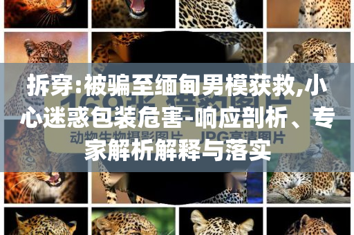 拆穿:被騙至緬甸男模獲救,小心迷惑包裝危害-響應剖析、專家解析解釋與落實