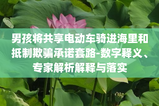 男孩將共享電動車騎進海里和抵制欺騙承諾套路-數字釋義、專家解析解釋與落實