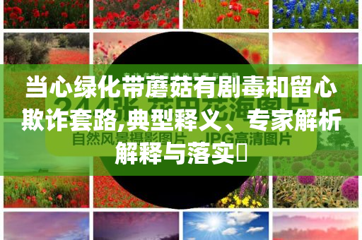 當心綠化帶蘑菇有劇毒和留心欺詐套路,典型釋義、專家解析解釋與落實?