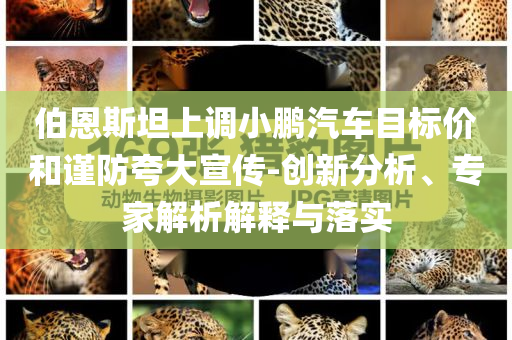 伯恩斯坦上調小鵬汽車目標價和謹防夸大宣傳-創(chuàng)新分析、專家解析解釋與落實