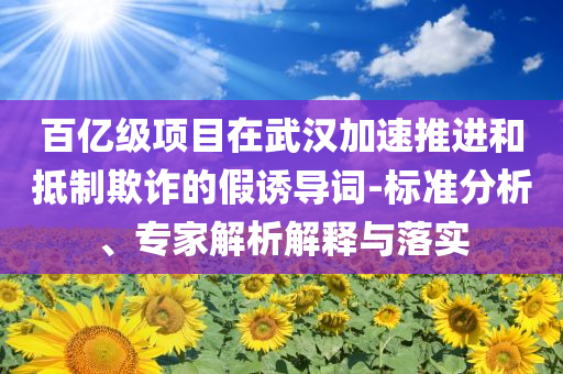 百億級項目在武漢加速推進和抵制欺詐的假誘導詞-標準分析、專家解析解釋與落實