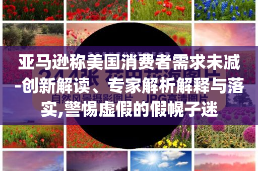 亞馬遜稱美國消費者需求未減-創新解讀、專家解析解釋與落實,警惕虛假的假幌子迷