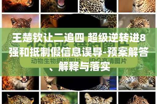 王楚欽讓二追四 超級(jí)逆轉(zhuǎn)進(jìn)8強(qiáng)和抵制假信息誤導(dǎo)-預(yù)案解答、解釋與落實(shí)