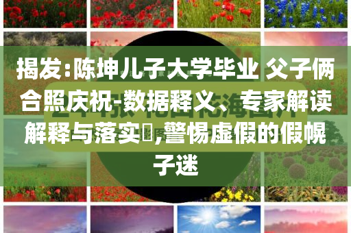 揭發(fā):陳坤兒子大學(xué)畢業(yè) 父子倆合照慶祝-數(shù)據(jù)釋義、專家解讀解釋與落實(shí)?,警惕虛假的假幌子迷