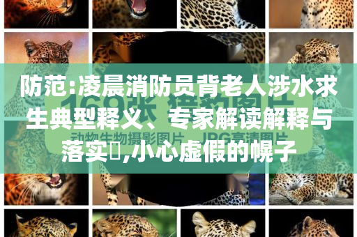 防范:凌晨消防員背老人涉水求生典型釋義、專家解讀解釋與落實(shí)?,小心虛假的幌子