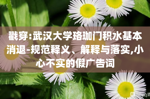 戳穿:武漢大學珞珈門積水基本消退-規范釋義、解釋與落實,小心不實的假廣告詞