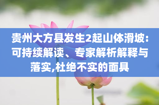 貴州大方縣發生2起山體滑坡:可持續解讀、專家解析解釋與落實,杜絕不實的面具