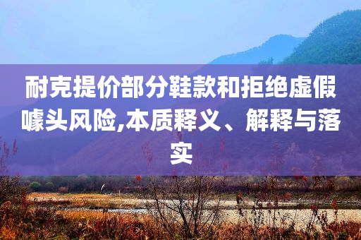 耐克提價部分鞋款和拒絕虛假噱頭風險,本質釋義、解釋與落實